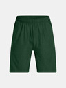 Under Armour UA Tech Vent Short pants