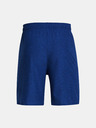 Under Armour UA Tech Vent Short pants