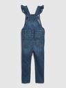 GAP Washwell Children's overalls