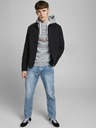 Jack & Jones Chris Jeans