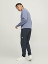 Jack & Jones Will Sweatpants