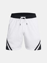 Under Armour Curry Mesh Short 4 Short pants