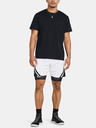 Under Armour Curry Mesh Short 4 Short pants