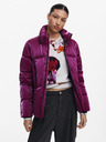 Desigual Flam Winter jacket