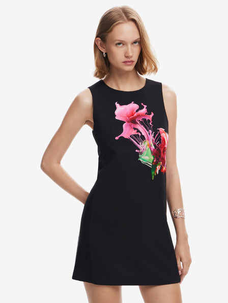 Desigual Phoenix Dresses