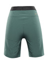 ALPINE PRO Zamba Shorts