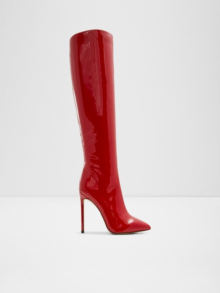 Aldo Agathea Tall boots