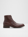 Aldo Region Ankle boots