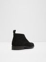 Aldo Charleroi Ankle boots