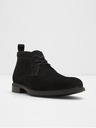 Aldo Charleroi Ankle boots