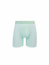 Vuch Atticus Mint Boxer shorts