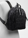 Aldo Evieback Backpack