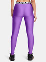 Under Armour UA HG Leggings