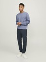 Jack & Jones Will Sweatpants