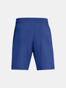 Under Armour UA Tech Woven Wordmark Short pants