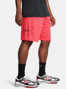 Under Armour UA Tech Graphic Short pants