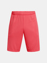 Under Armour UA Tech Graphic Short pants