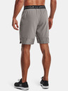 Under Armour UA Vanish Woven 8in Short pants