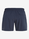 Protest PRTYESSINE Short pants