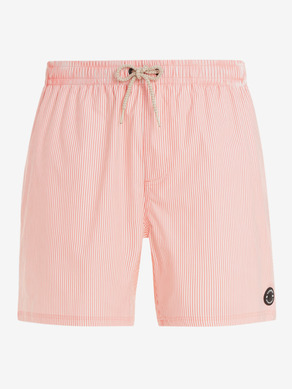 Protest PRTMANAMA Short pants