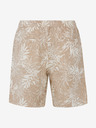 Protest PRTSPARK Short pants