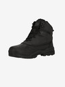 Whistler BRIGGS Ankle boots