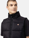 Dickies Waldenburg Vest