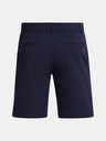 Under Armour UA Tech Taper Short pants