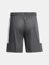 Under Armour UA Baseline Short pants