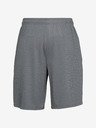 Under Armour Tech Mesh Short pants