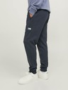 Jack & Jones Will Sweatpants