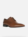 Geox High Life Oxford