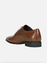 Geox High Life Oxford