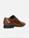 Geox High Life Oxford