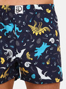 Dedoles Dinosauři Boxer shorts