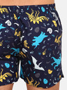 Dedoles Dinosauři Boxer shorts