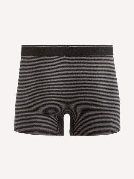 Celio Boxer